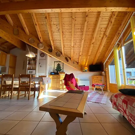 Grand T3 Lumineux Avec Balcon, Parking & Casier Skis En Centre-ville De - Fr-1-624-22